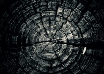 When am I “Too Old” to Launch a Startup?