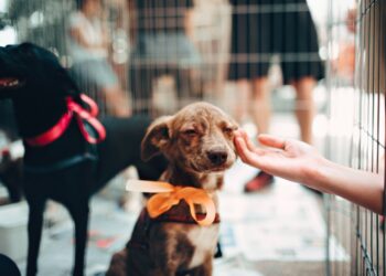 7 Keys To Balancing Profits Versus A Higher Purpose