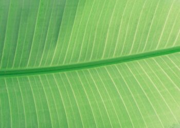 5 Keys To Expanding Your Thinking And Raising Results