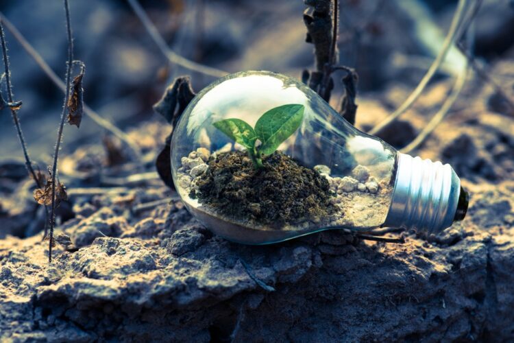 10 Keys to Surviving the Growth From a Startup to an Enterprise