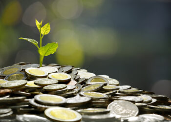 Should We Focus on Profit or Growth?