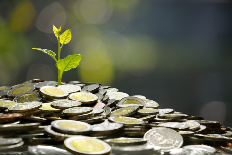 Should We Focus on Profit or Growth?