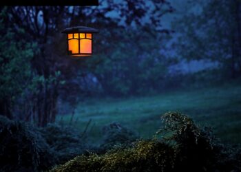 8 Self-Check Questions That Keep Leaders Up at Night