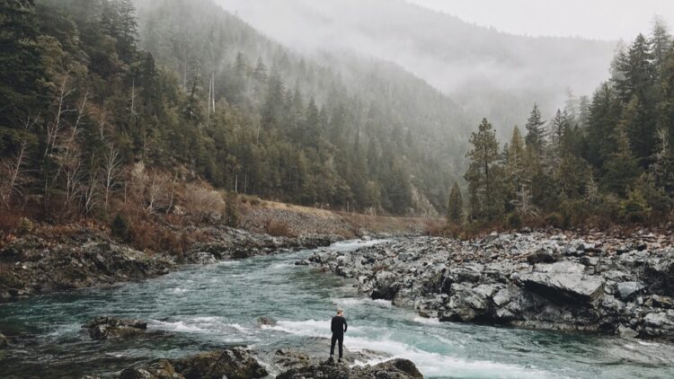 5 Indications That You Can Survive Startup Failures