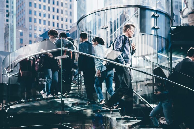 The Ideal Investor Group Post Seed Raise