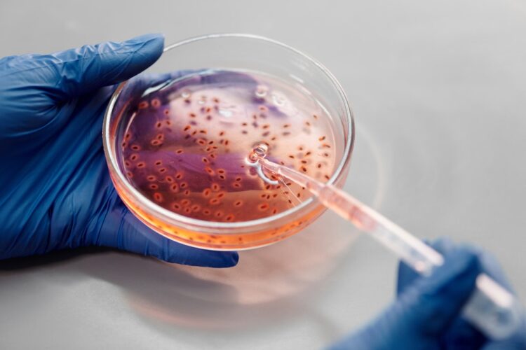 Where We Are Investing Now: Microbiome