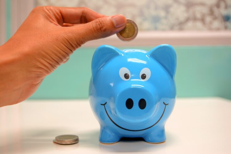 5 Ways to Conserve Investor Cash and Ensure Survival