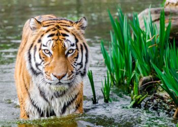 Creating the Next Big Startup Takes More Than Passion