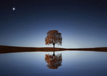 Startup Culture is a Reflection of its Founders