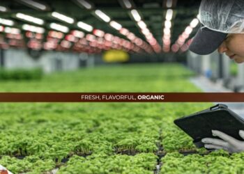 The 12 Largest Global Startup Funding Rounds of October 2022