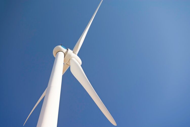 5 Strategies To Capture Sustainability Opportunities